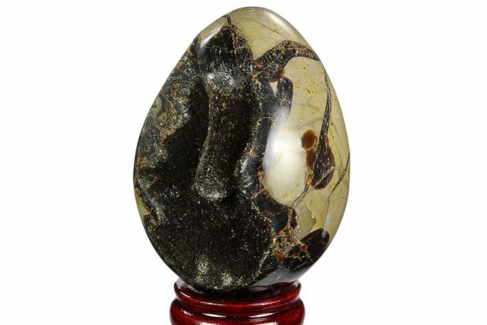 Septarian Dragon Egg Geode - Black Crystals #123039